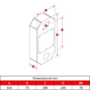 Peson numérique avec affichage déporté sur télécommande •  55 T
