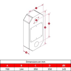 Peson numérique avec affichage déporté sur télécommande • 250 T