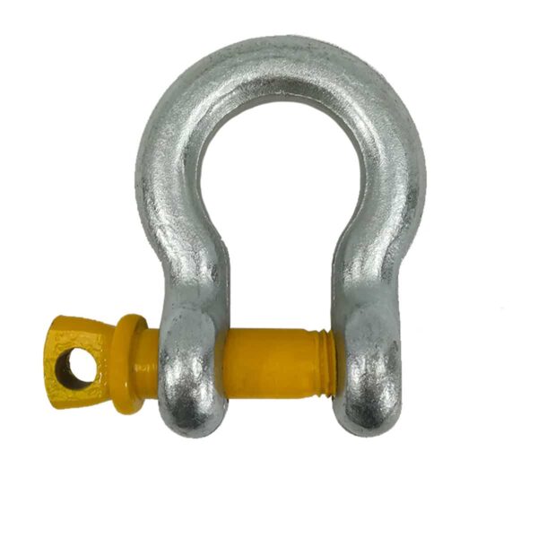 Manille       lyre • CMU 4,75 t • Forgée