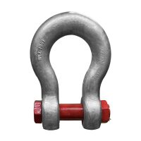 7893 Manille lyre 120t Photo RM2M