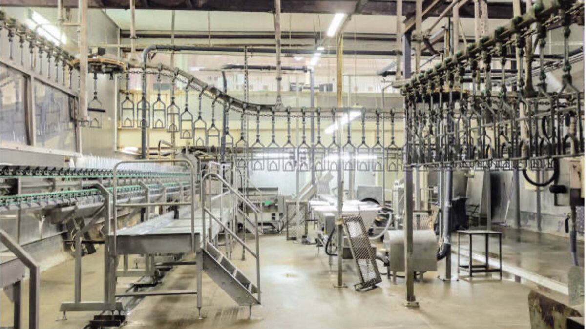 levage agroalimentaire.