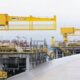grues
