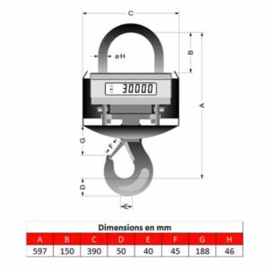 Peson     5t • Crochet peseur 5t • Dynamomètre 5t • Pesage pour fonderie de 0 à 5000kg • KGW5