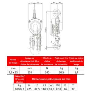 Palan manuel fixe à crochet en inox 1 000 kg – Pour salle blanche