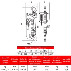 Palan manuel standard fixe à crochet      5 000 kg